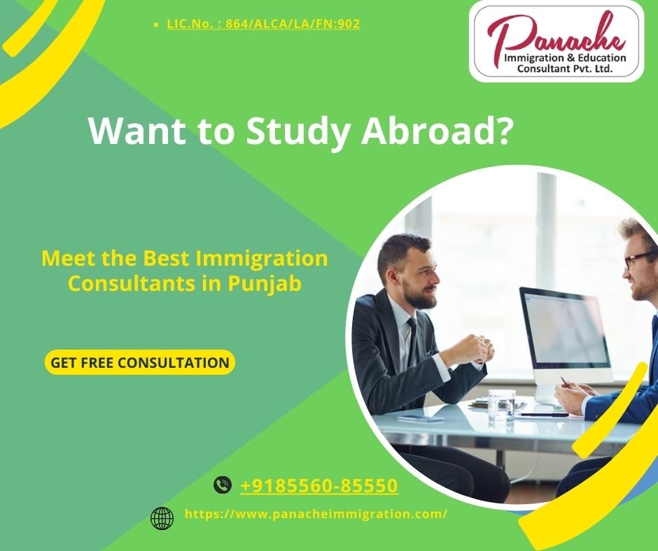 Study Abroad consultant