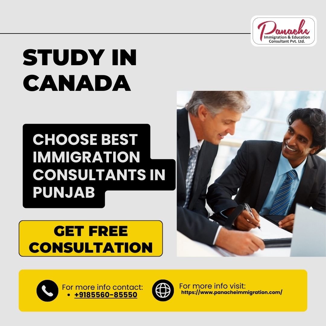 Best Immigration Consultants in Punjab