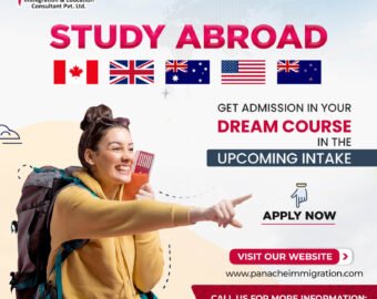 Study Abroad Consultants